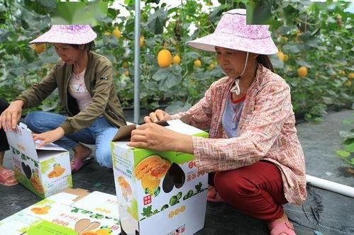 洗脚网红吃瓜,揭秘网络红人的另一面