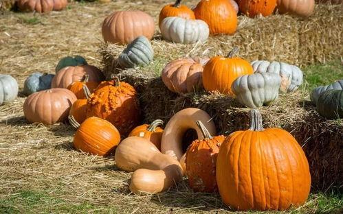 吃瓜网缅北,缅北风云背后的真相与争议